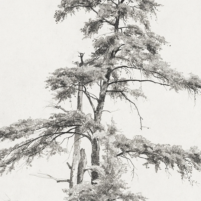 Vintage Flower Plants Sketch Art Prints Neutral Gallery Wall Art Pictures Canvas Painting Farmhouse Country Decoration Posters - Image 2