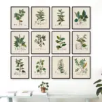 Botanical Studies Vintage Posters and Prints Antique French Plant Illustrations Canvas Painting Botany Wall Art Pictures Decor
