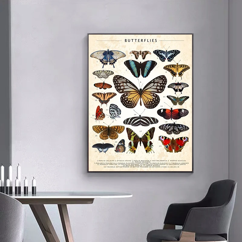 Vintage Butterfly And Insects Collection Chart Poster Canvas Painting Retro Aesthetic Art Wall Picture Living Room Home Decor - Image 4