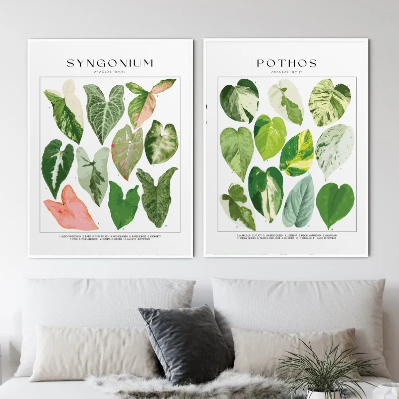 House Plant Identification Poster Botanical Names Picture Canvas Painting Wall Art for Living Room Home Decor Plants Lover Gift - Image 2