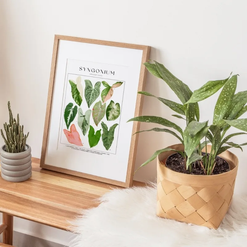 House Plant Identification Poster Botanical Names Picture Canvas Painting Wall Art for Living Room Home Decor Plants Lover Gift - Image 3