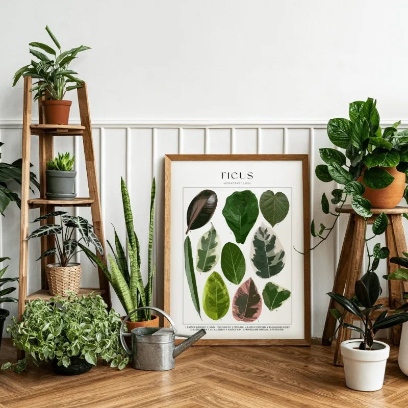 House Plant Identification Poster Botanical Names Picture Canvas Painting Wall Art for Living Room Home Decor Plants Lover Gift - Image 4