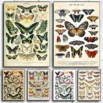 Vintage Butterfly And Insects Collection Chart Poster Canvas Painting Retro Aesthetic Art Wall Picture Living Room Home Decor