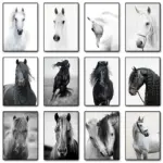 Black and White Horse Portrait Poster Print Canvas Painting Horses Running Animal Wall Art Picture for Farmhouse Room Home Decor