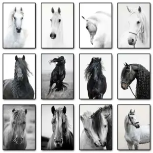 Black and White Horse Portrait Poster Print Canvas Painting Horses Running Animal Wall Art Picture for Farmhouse Room Home Decor