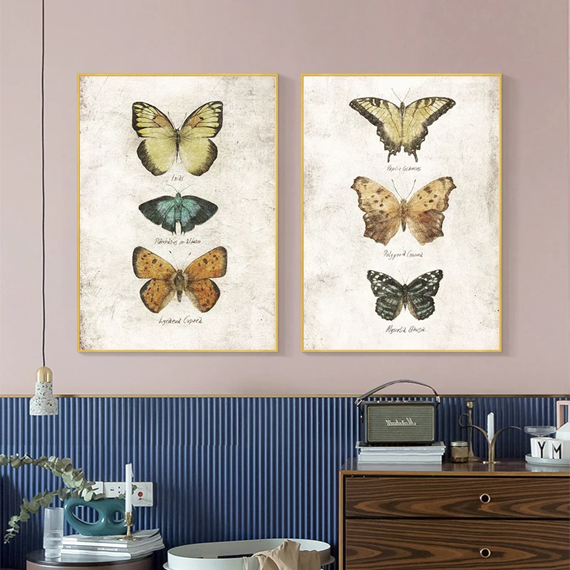 Vintage Butterfly And Insects Collection Chart Poster Canvas Painting Retro Aesthetic Art Wall Picture Living Room Home Decor - Image 2
