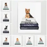 Animals Pomeranian Books Posters Wall Art Canvas Painting Module Modern Image Print Home Bedroom Bedside Background Decor Prints
