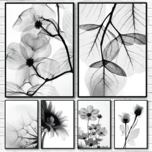 Black and white plant flowers, HD canvas print wall art poster, suitable for home, living room, room, bar decoration