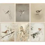 Retro Pastel Hummingbird Bird Small Chickadee Simple Nature Animals Poster Canvas Painting Wall Art Pictures Home Decor