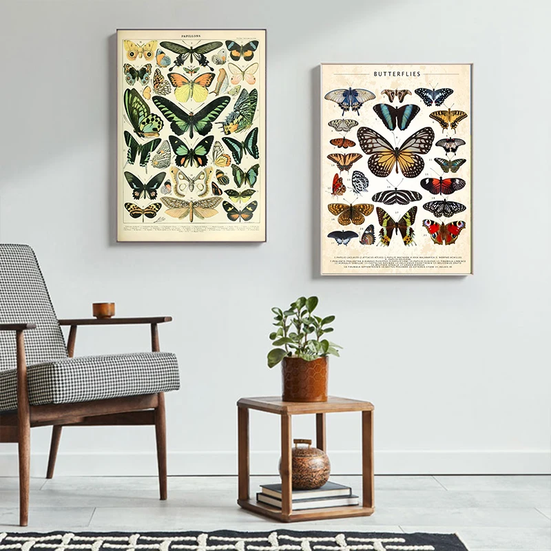 Vintage Butterfly And Insects Collection Chart Poster Canvas Painting Retro Aesthetic Art Wall Picture Living Room Home Decor - Image 3