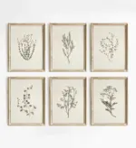 Retro Minimalist Plant-themed Floral Print Set Featuring Blooming Flowers Painted Art Posters and Plant Art Prints
