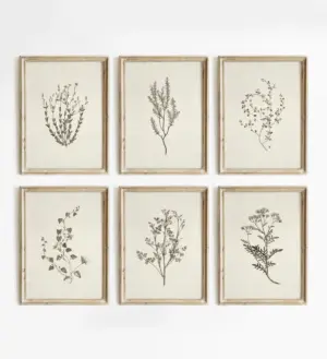Retro Minimalist Plant-themed Floral Print Set Featuring Blooming Flowers Painted Art Posters and Plant Art Prints