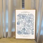 Large Vintage Blue coastal decor Posters, Conch Seashell Wall arts Prints, Summer Ocean Themed Prints Blue Conch Posters Unframe