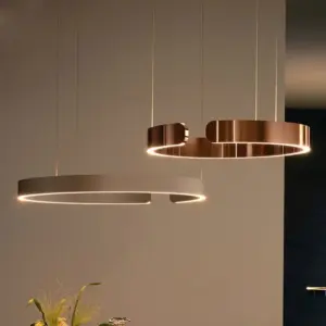 Nordic Modern Rose Gold White Black LED Circular Ring Pendant Living Room Dining Room Indoor Hanging Home Decoration Lighting