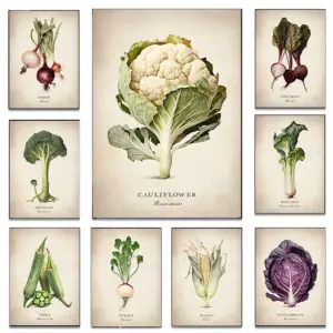 Vintage Vegetable Cauliflower Onion Broccoli Peas Poster and Prints Canvas Painting Wall Art Picture for Kitchen Home Decor Gift