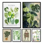 Green Botanical Leaves Canvas Wall Art Houseplants Nature Indoor Home Decor Calming Foliage And Plant Interior Poster