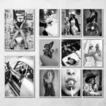 Modern Black White Fashion Women Doberman Spaniel Champagne Luxury Poster Canvas Paintings Wall Art Pictures for Room Home Decor