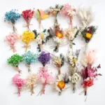 1pc Mini Natural Dry Flowers Bouquet Fresh Dried Preserved Flower Small Decorative Photography Photo Backdrop Home Decor Bouquet