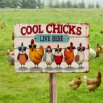 2D Flat, Vintage "Cool Chicks Live Here" Metal Sign - Rustic Farmhouse Decor with Playful Chicken Design, Waterproof & Dustproof