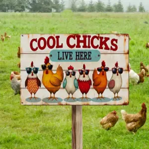 2D Flat, Vintage "Cool Chicks Live Here" Metal Sign - Rustic Farmhouse Decor with Playful Chicken Design, Waterproof & Dustproof