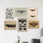 Dark Academia Antique Bat Moody Rustic Animal Poster Canvas Painting Wall Art Picture for Living Room Home Decoration