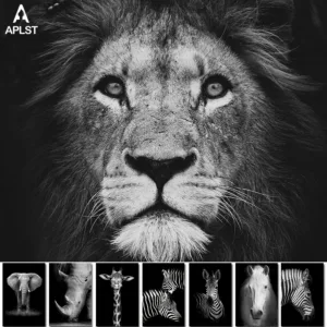 Animal Giraffe Zebra Lion Elephant Horse Prints & Poster Black and White Canvas Art Wall Decorative Picture for Living Room