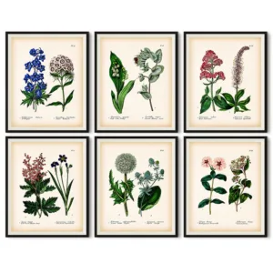 Antique Botanical Canvas Art Posters and Prints , Vintage Botanical Wall Art Painting Pictures for Living Room Home Decor
