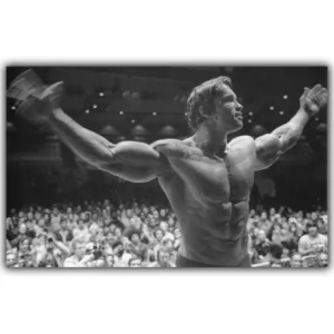 Arnold Schwarzenegger Bodybuilding Motivational Art Silk Poster Print Fitness Inspirational Picture for Room Wall Decor