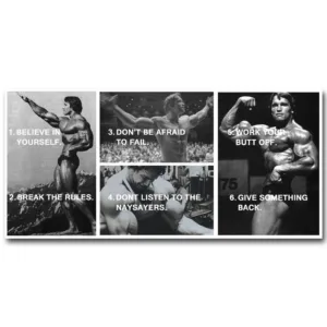 Arnold Schwarzenegger Bodybuilding Motivational Quote Art Silk Poster Print Inspirational Picture for Room Wall Decor 038