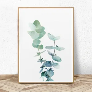 Australian Eucalyptus Leaf Print Wall Art Canvas Modern Posters and Prints  Botanical Plant Painting Pictures for Living Room