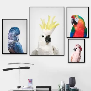 Australian Parrot Cockatoo Wall Art Canvas Painting Nordic Posters And Prints Animal Nursery Wall Pictures For Living Room Decor