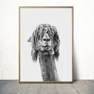 Black White Alpaca Canvas Poster Animal Nurser Print Wall Art Painting Nordic Kids Decoration Pictures Baby Bedroom Decor