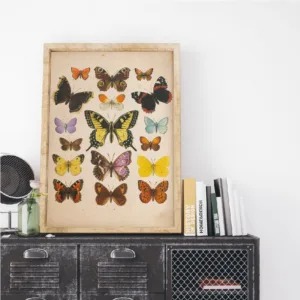 Butterflies Vintage Poster And Print Insect Antique Illustration Wall Art Canvas Painting Picture for Living Room Home Decor