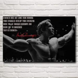 Bodybuilder Arnold Schwarzenegger Art Silk Motivational Posters and Prints Painting Home Decoration Pictures Living Room