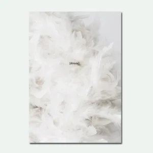 Fashion Simple Poster Vogue Woman Nordic Wall Pop Art Canvas Painting Black and White Feather Quotes Posters and Prints Unframed