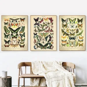 French Butterfly Vintage Posters and Prints Insect Biology Educational Chart Kitchen Wall Art Picture Canvas Painting Home Decor