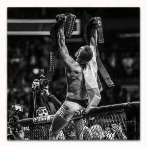 Conor Mcgregor UFC Success Motivational Quote Painting Poster Prints Canvas Wall Picture For Home Room Decor