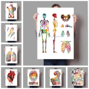 Human Anatomy Muscle System Art Print Watercolor Human Figure Painting Medical Education Office Picture posters canvas painting