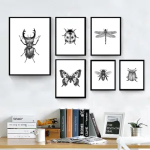 Insect illustration black and white family decoration painting poster wall art insect poster hight quality home Decor No Frame