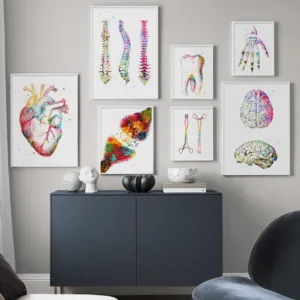 Nordic HD anatomy art people heart and brain poster art painting printing doctor office decoration wall picture canvas painting