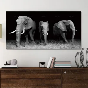 Poster Canvas art Pictures Wall Pictures Animal cat Art Painting No Framex canvas wall art elephant cuadros decoracion salon art