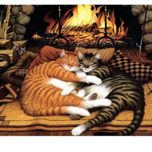 Frame Sleep Cat DIY Painting By Numbers Modern Wall Art Canvas Painting Hand Painted Unique Gift For Home Wall Artwork