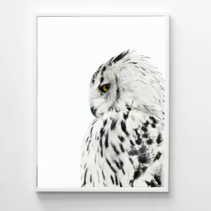Scandinavian Animal Owl Realistic Painting Canvas Art Print Wall Picture , Owl Poster Canvas Painting Modern Wall Art Decor