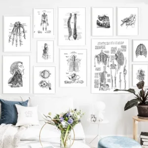 Skeleton Muscle Fingers Eye Black And White Anatomy Wall Art Canvas Painting Nordic Posters And Prints Wall Pictures Decor