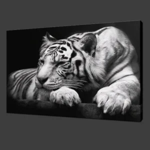 Unframed White Tiger Paint On Canvas Paintings Home Decor for Living Room Decoration Modern Art Animal Picture Wall Art