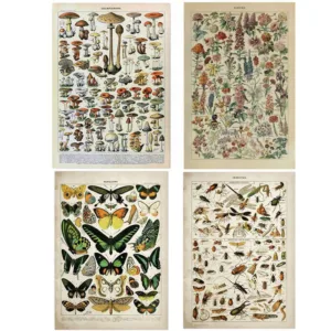 Vintage Adolphe Millot Encyclopedia Posters Butterfly Mushrooms Herbs Flowers Insect Classic Canvas Paintings Wall Stickers
