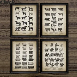 Vintage Farm Animals Poster Print Chicken Pig Sheep and Horse Wall Art Canvas Painting Retro Animal Picture Home Decoration