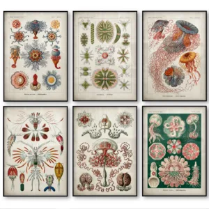 Marine Creatures Vintage Poster Jellyfish Corals Green Algae Sea Anemones Squirts Starfish Canvas Print Wall Art Canvas Painting
