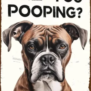 Funny Boxer Dog Are You Pooping Metal Signs Vintage Farmhouse Bathroom Wall Decor Boxer Dog Lovers Gift (961)