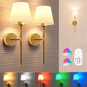 Wireless Battery Powered Wall Lamp Rechargeable Wall Lamp Dimmable Detachable Bulb Remote Control 15 Color Wireless Wall Lamp